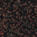 Autumn Brown